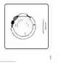 Fig. 08 - Two plasmid mammalian expression system