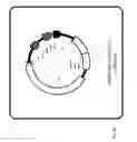 Fig. 09 - Two plasmid mammalian expression system