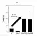 Fig. 07 - Development of Improved Cell-Permeable (iCP) Parkin Recombinant Protein as a Protein-Based Anti-Neurodegenerative Agent for the Treatment of Parkinson's Disease-Associated Phenotypes by Utilizing BBB-Penetrating Protein Delivery System MITT, Enabled by Advanced Macromolecule Transduction Domain (aMTD)