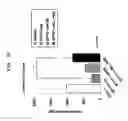 Fig. 22 - Development of Improved Cell-Permeable (iCP) Parkin Recombinant Protein as a Protein-Based Anti-Neurodegenerative Agent for the Treatment of Parkinson's Disease-Associated Phenotypes by Utilizing BBB-Penetrating Protein Delivery System MITT, Enabled by Advanced Macromolecule Transduction Domain (aMTD)