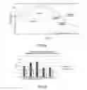 Fig. 07 - Method of purifying nucleic acids and kit for purifying nucleic acids