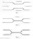 Fig. 02 - Multivalent oligonucleotide assemblies