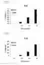 Fig. 08 - RNA modulating oligonucleotides with improved characteristics for the treatment of duchenne and becker muscular dystrophy