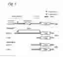 Fig. 02 - Construct and sequence for enhanced gene expression