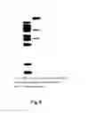 Fig. 07 - Selection in fungi