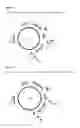 Fig. 43 - CPMV enhancer elements