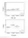Fig. 46 - CONSTRUCT AND METHOD FOR SYNTHETIC BIDIRECTIONAL PLANT PROMOTER UBI1