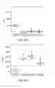 Fig. 69 - CONSTRUCT AND METHOD FOR SYNTHETIC BIDIRECTIONAL PLANT PROMOTER UBI1
