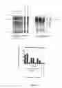 Fig. 07 - RNA PRODUCTION IN HIGHER PLANTS