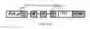 Fig. 45 - Activity-dependent expression of nucleic acids