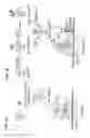 Fig. 02 - Compositions and methods for making selenocysteine containing polypeptides