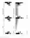 Fig. 19 - Protein production