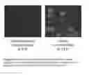 Fig. 09 - Rapid detection of replicating cells