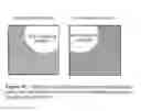 Fig. 22 - Rapid detection of replicating cells