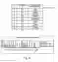 Fig. 05 - COMPOSITIONS AND METHODS FOR NUCLEOTIDE SEQUENCING