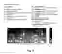 Fig. 09 - COMPOSITIONS AND METHODS FOR NUCLEOTIDE SEQUENCING