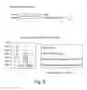 Fig. 10 - COMPOSITIONS AND METHODS FOR NUCLEOTIDE SEQUENCING
