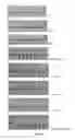 Fig. 02 - HIGH-RESOLUTION HLA TYPING