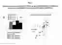 Fig. 04 - Method for detecting an increased risk of developing skin cancer and a use of a genotype variant of the GRHL3 gene