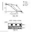 Fig. 08 - DDR2 mutations in squamous cell lung cancer