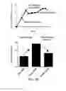 Fig. 17 - DDR2 mutations in squamous cell lung cancer