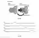 Fig. 05 - METHODS AND APPARATUSES FOR TEMPERATURE-INDEXED THIN FILM DEPOSITION