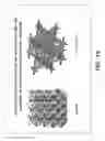 Fig. 20 - HIERARCHICAL CELLULAR MATERIALS AND METHOD OF MAKING AND USING THE SAME