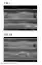 Fig. 07 - Copper Electrodeposition in Microelectronics