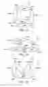 Fig. 08 - Stuffers for purses, boots and the like