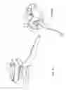Fig. 22 - Self cleaning toilet assembly and system