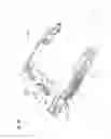Fig. 07 - Door handle device