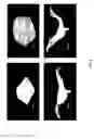 Fig. 09 - Systems and methods for actuating soft robotic actuators