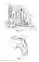Fig. 02 - DIRECTLY ACTUATABLE CLUTCH WITH VENTILATION GEOMETRY