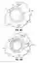 Fig. 06 - Planetary gear sets for power transmissions