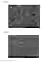 Fig. 02 - Molded body and manufacturing method thereof