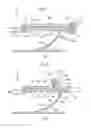 Fig. 08 - Vehicle lamp having a hooking structure