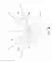 Fig. 06 - OPTICAL STRUCTURE