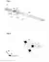 Fig. 02 - Lighting system