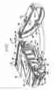 Fig. 03 - Selectively-extendable modular lighting fixture