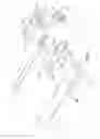 Fig. 03 - Rotation-force adjusting device for a toy gun