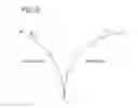 Fig. 49 - SHAPE DETERMINATION DEVICE, SHAPE DETERMINATION PROGRAM, AND SHAPE DETERMINATION METHOD
