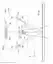 Fig. 10 - Displacement detecting device by light retroreflectance having first and second retroreflecting units with a common light receiving unit