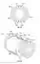 Fig. 16 - Ultrasonic flow meter having shell shroud