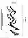 Fig. 03 - Magnesium sensing membrane for potentiometric ion selective electrode for measuring ionized magnesium and methods of production and use thereof