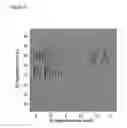 Fig. 03 - Method and device for two-dimensional separation of ionic species