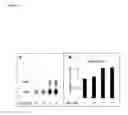Fig. 07 - Neuroprotective chemicals and methods for identifying and using same
