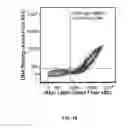 Fig. 08 - Characterization and Directed Evolution of a Methyl Binding Domain Protein for High-Sensitivity DNA Methylation Analysis