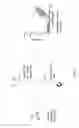 Fig. 19 - Characterization and Directed Evolution of a Methyl Binding Domain Protein for High-Sensitivity DNA Methylation Analysis
