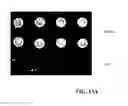 Fig. 22 - Characterization and Directed Evolution of a Methyl Binding Domain Protein for High-Sensitivity DNA Methylation Analysis