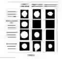 Fig. 02 - Control marker for implementing analysis methods on spots